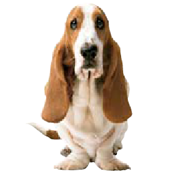 Hush Puppies Online logo